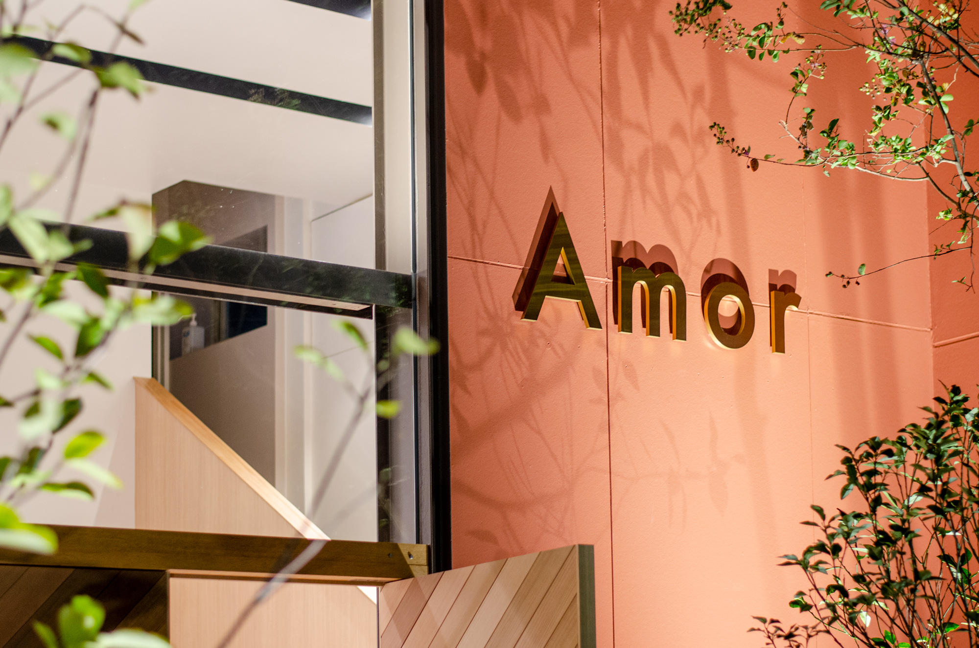 reso2020_Amor_000